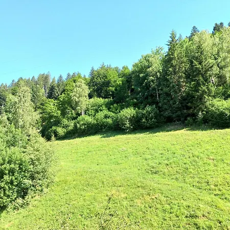 Ferienwohnung Landhof Kreuzsalgut Wagrain Exterior foto