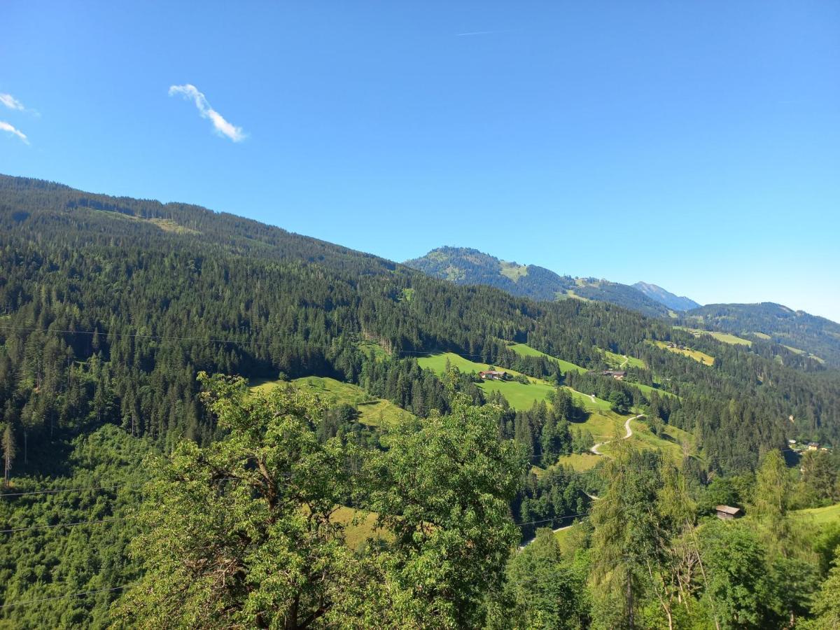 Landhof Kreuzsalgut Apartment Wagrain
