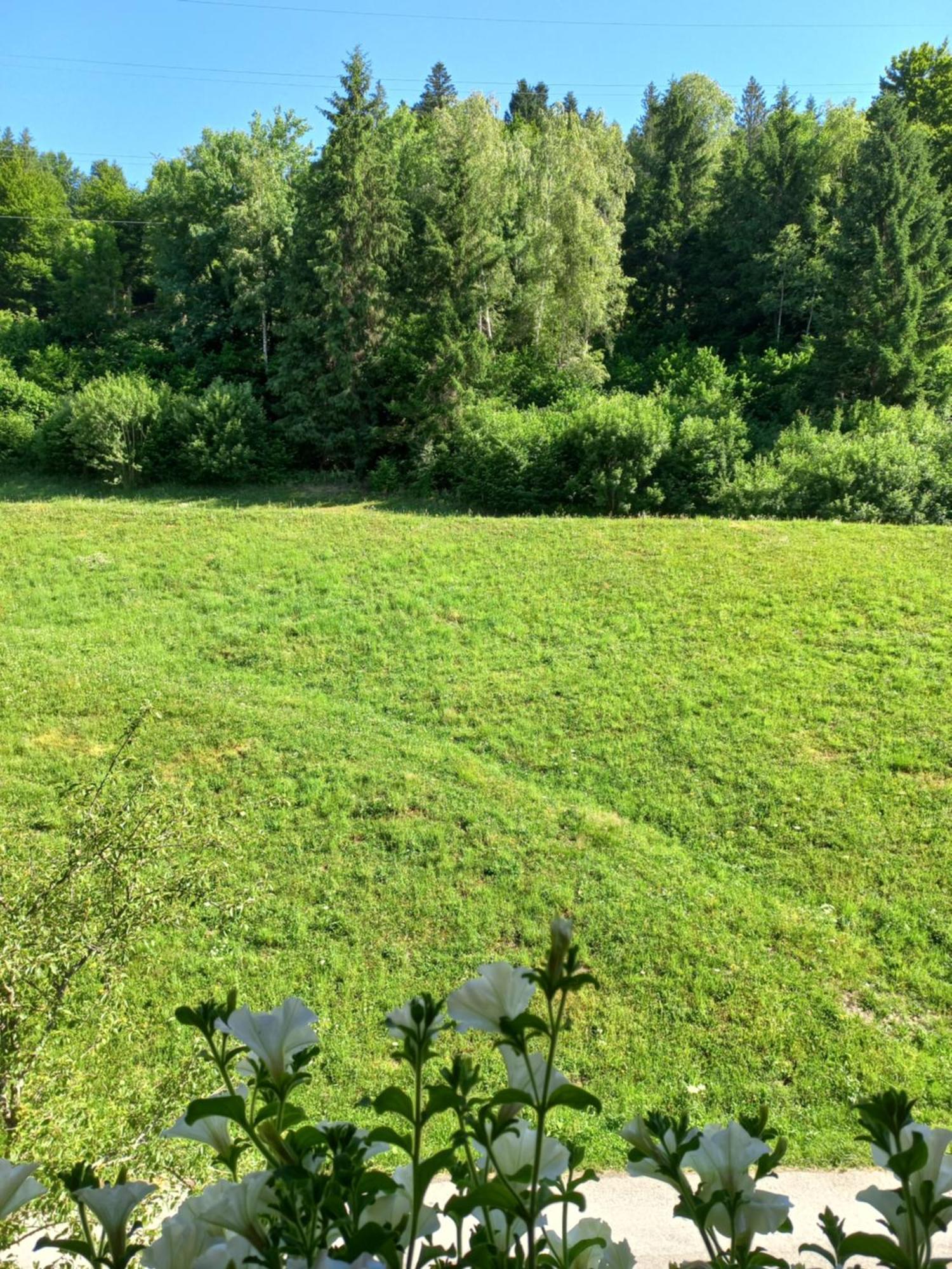 Landhof Kreuzsalgut *